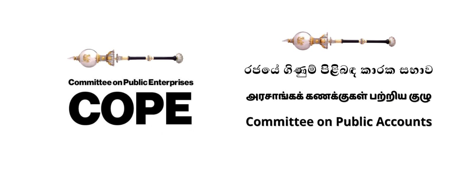 COPE, COPA Reports Can Now Trigger CID
